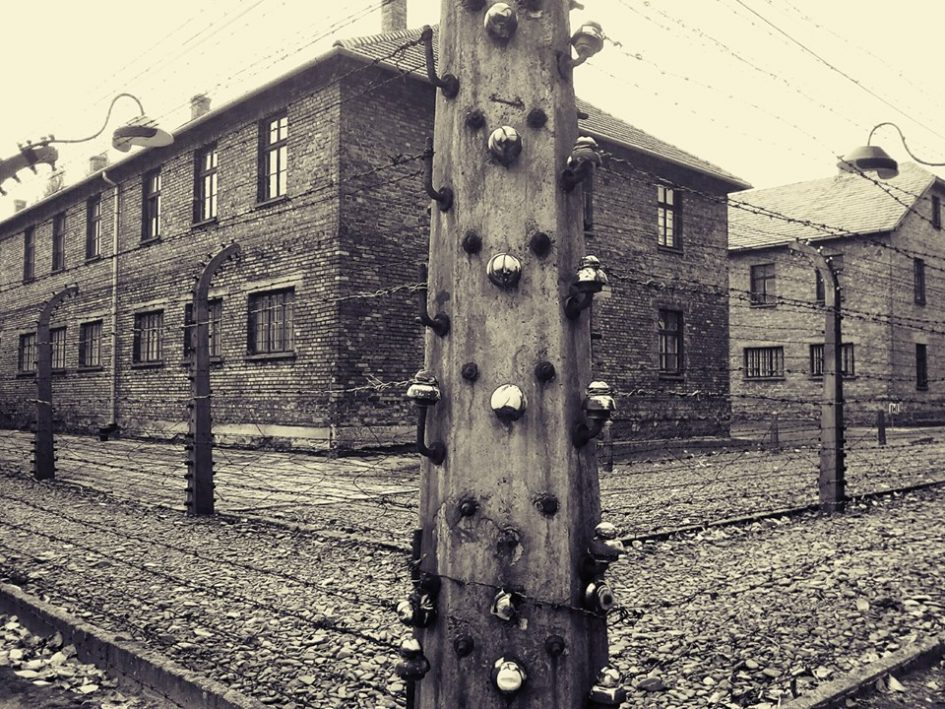 NOVELLA – Varsó, Auschwitz, Veszprém